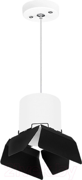 Изображение товара Потолочный светильник Lightstar Rullo RP3486487 