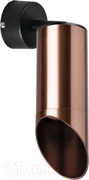 Изображение товара Спот Lightstar Rullo RB43030