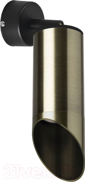 Изображение товара Спот Lightstar Rullo RB43130