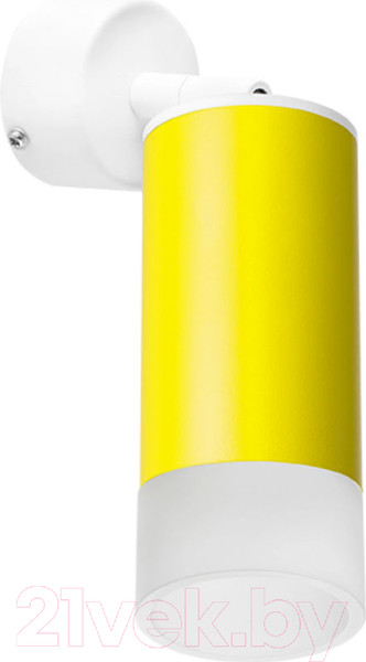 Изображение товара Спот Lightstar Rullo RB43331