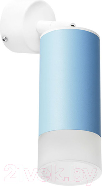 Изображение товара Спот Lightstar Rullo RB43531