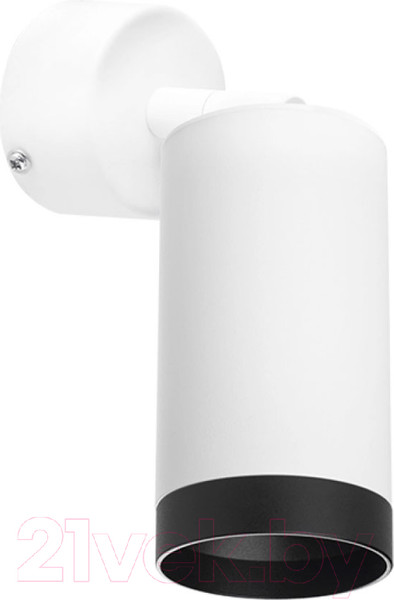 Изображение товара Спот Lightstar Rullo RB4363437