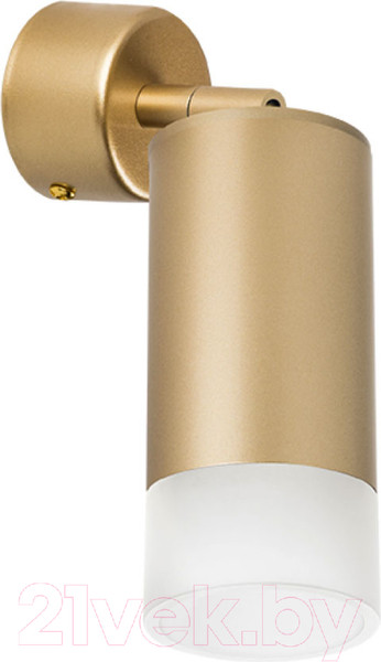 Изображение товара Спот Lightstar Rullo RB4401031