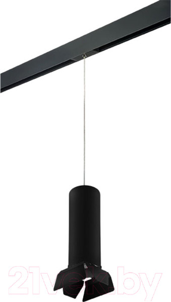 Изображение товара Трековый светильник Lightstar Rullo PRORP6497487