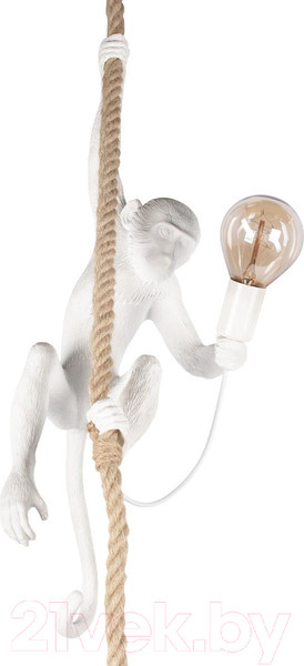 Изображение товара Потолочный светильник Loftit Monkey 10314P