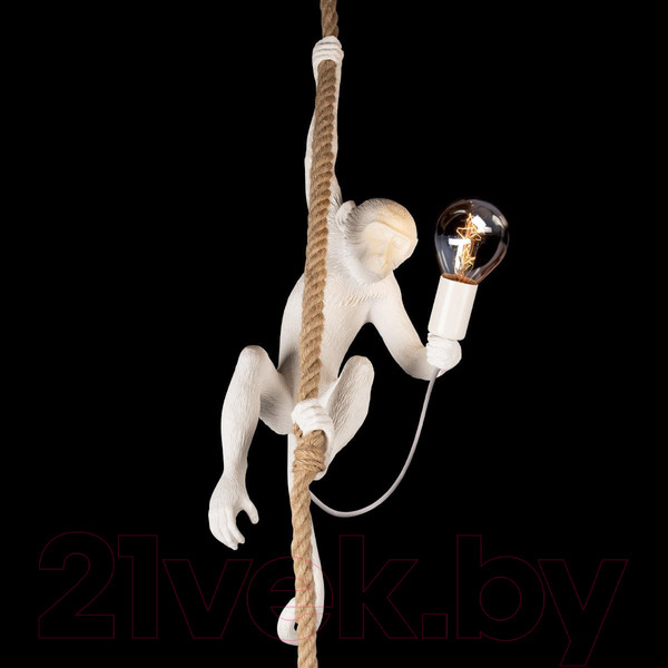 Изображение товара Потолочный светильник Loftit Monkey 10314P