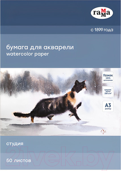 Изображение товара Набор бумаги для рисования ГАММА Студия / 30C03F750W (50л)
