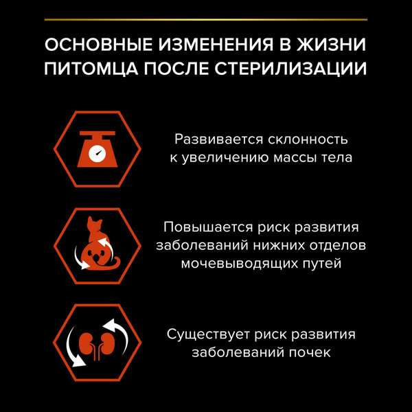 Изображение товара Сухой корм для кошек Pro Plan Sterilised для поддержания органов чувств с лососем (3кг)