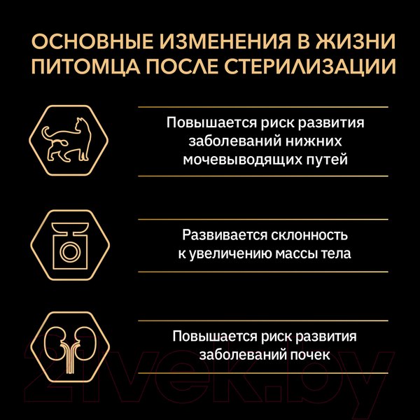Изображение товара Сухой корм для кошек Pro Plan Sterilised для поддержания органов чувств с лососем (3кг)
