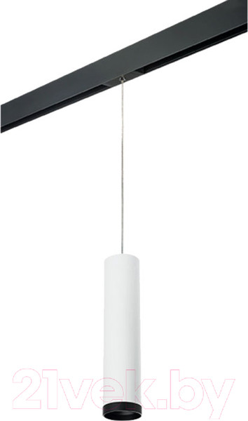 Изображение товара Трековый светильник Lightstar Rullo PRORP4963437
