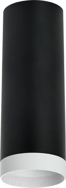 Изображение товара Точечный светильник Lightstar Rullo R4873436