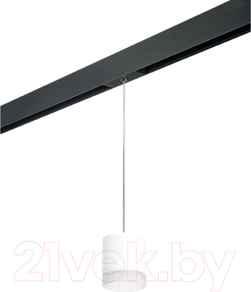 Изображение товара Трековый светильник Lightstar Rullo PRORP348680