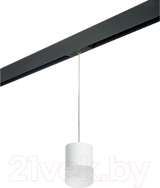 Изображение товара Трековый светильник Lightstar Rullo PRORP348681