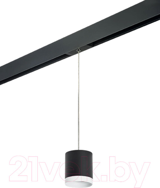 Изображение товара Трековый светильник Lightstar Rullo PRORP34873486