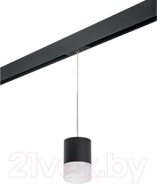 Изображение товара Трековый светильник Lightstar Rullo PRORP348781 