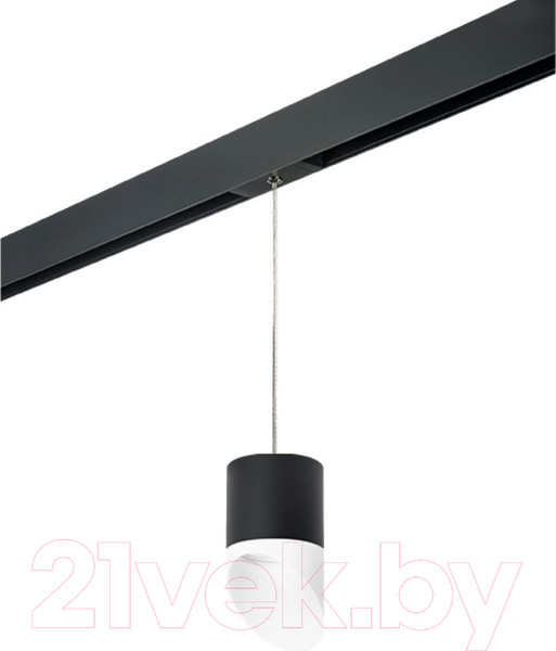 Изображение товара Трековый светильник Lightstar Rullo PRORP348786