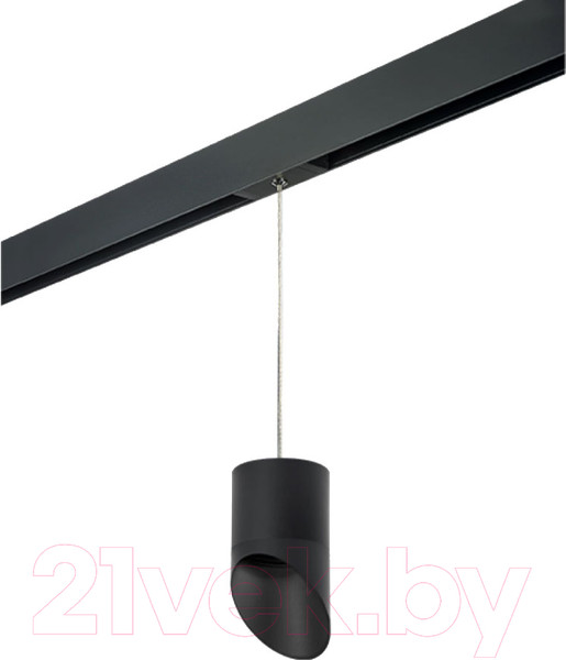Изображение товара Трековый светильник Lightstar Rullo PRORP348787