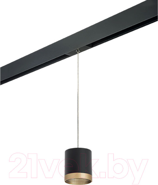 Изображение товара Трековый светильник Lightstar Rullo PRORP348790