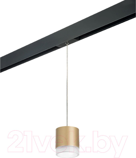 Изображение товара Трековый светильник Lightstar Rullo PRORP349080