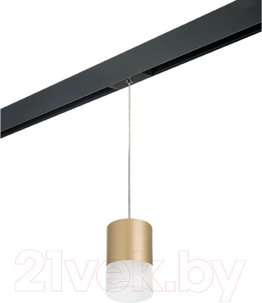 Изображение товара Трековый светильник Lightstar Rullo PRORP349081