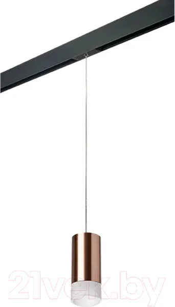 Изображение товара Трековый светильник Lightstar Rullo PRORP43031