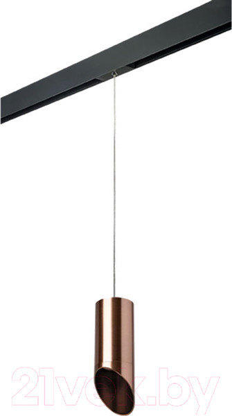 Изображение товара Трековый светильник Lightstar Rullo PRORP43030