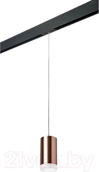 Изображение товара Трековый светильник Lightstar Rullo PRORP430430