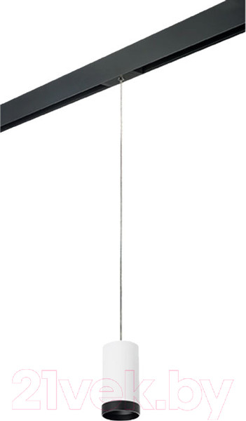 Изображение товара Трековый светильник Lightstar Rullo PRORP4363437