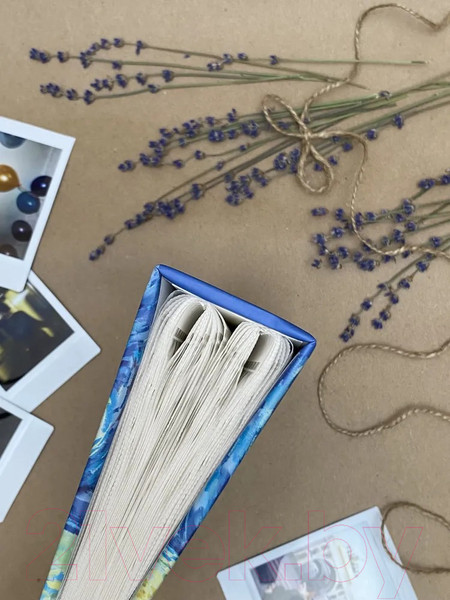 Изображение товара Фотоальбом Полином ВВГ 1 / FA 100.023-1