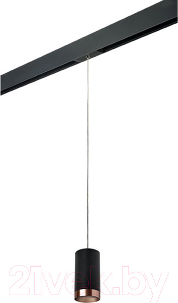 Изображение товара Трековый светильник Lightstar Rullo PRORP437430