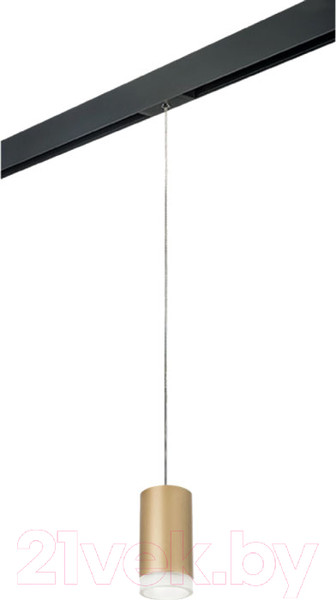 Изображение товара Трековый светильник Lightstar Rullo PRORP44030