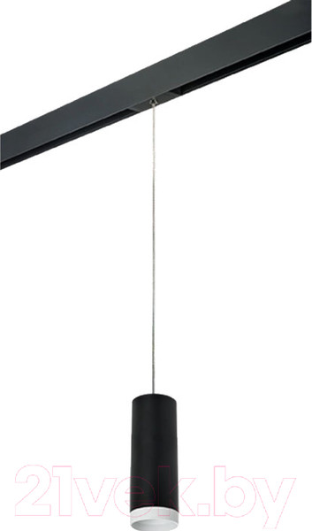 Изображение товара Трековый светильник Lightstar Rullo PRORP4873436