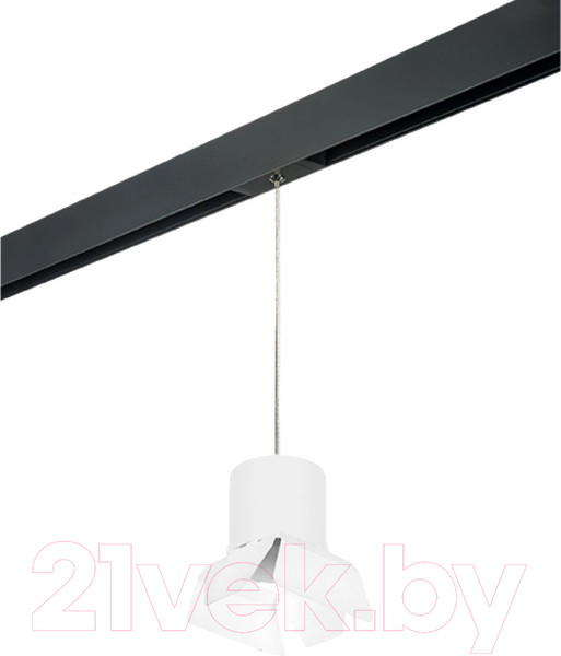 Изображение товара Трековый светильник Lightstar Rullo PRORP3486486