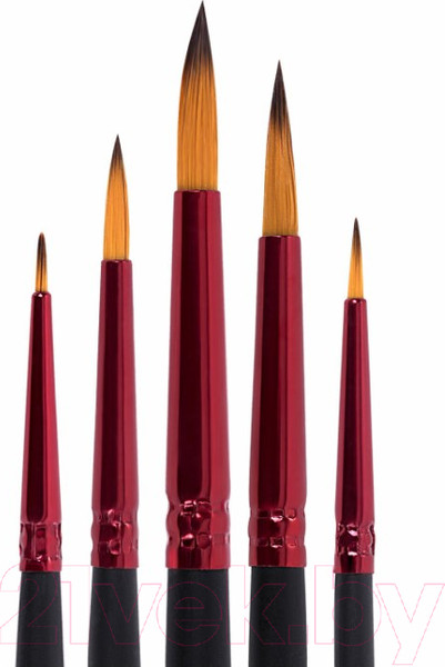 Изображение товара Набор кистей Brauberg Premium / 201025 (5шт)