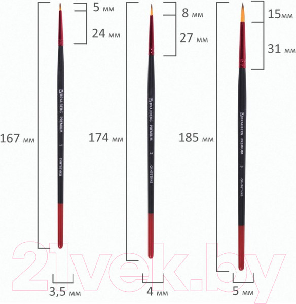 Изображение товара Набор кистей Brauberg Premium / 201025 (5шт)