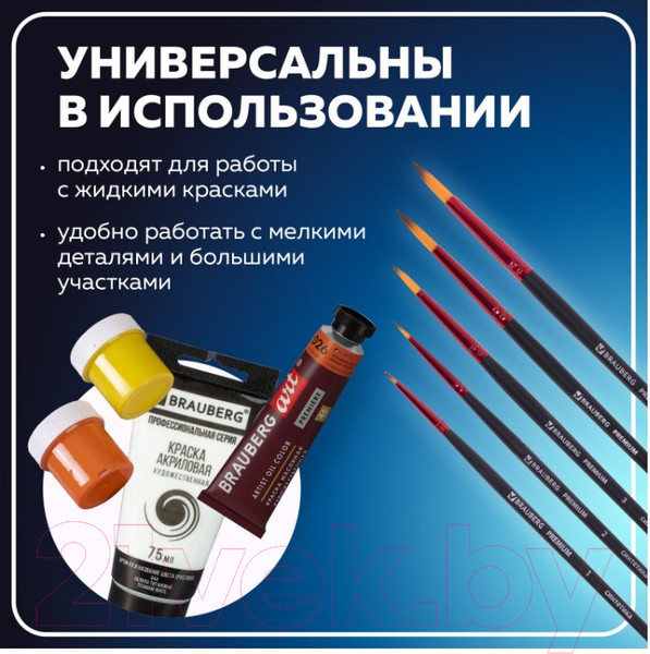 Изображение товара Набор кистей Brauberg Premium / 201025 (5шт)
