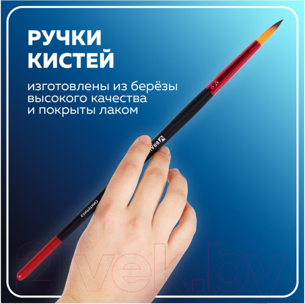 Изображение товара Набор кистей Brauberg Premium / 201025 (5шт)