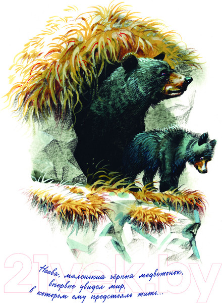 Изображение товара Книга Эксмо Бродяги Севера / 9785041890162 (Кервуд Д.О.)