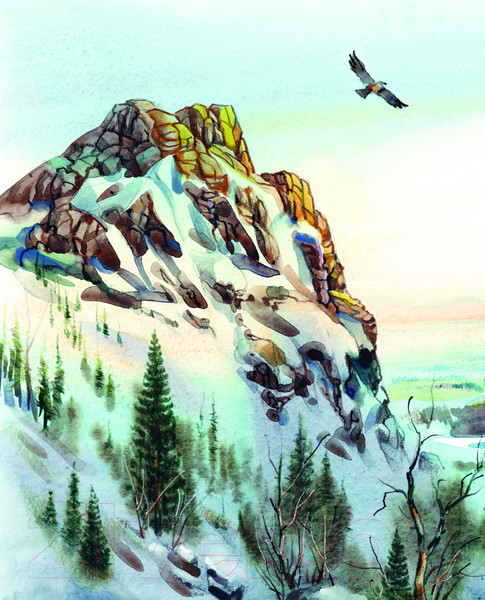 Изображение товара Книга Эксмо Бродяги Севера / 9785041890162 (Кервуд Д.О.)