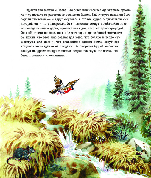 Изображение товара Книга Эксмо Бродяги Севера / 9785041890162 (Кервуд Д.О.)