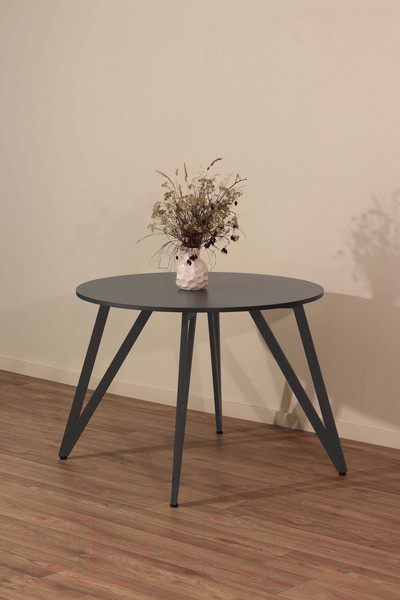 Изображение товара Подстолье Millwood Женева 2 ПФ (графит)