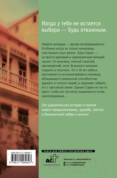 Художественная книга АСТ Лучшее, чего у меня нет / 9785171580827 (Хатиашвили А.А.) — фото 6