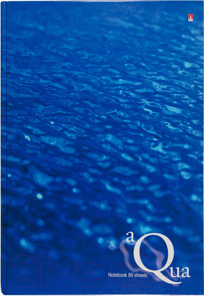 Изображение товара Записная книжка Альт Вода / 3-80-060/18 (80л)