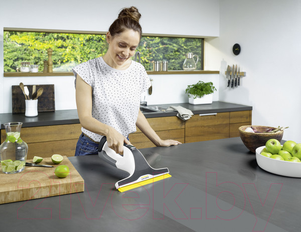 Изображение товара Стеклоочиститель Karcher WV 6 Plus (1.633-741)