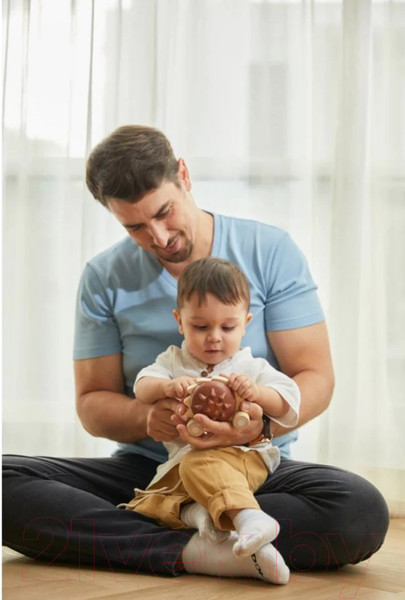 Изображение товара Игрушка-каталка Plan Toys Еж / 5274