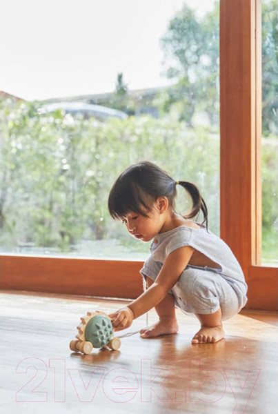 Изображение товара Игрушка-каталка Plan Toys Еж / 5275