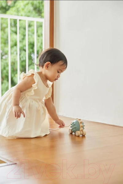 Изображение товара Игрушка-каталка Plan Toys Еж / 5275