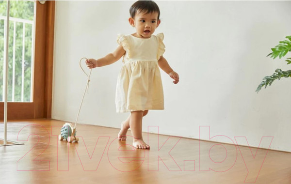 Изображение товара Игрушка-каталка Plan Toys Еж / 5275