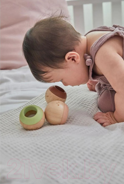 Изображение товара Развивающий игровой набор Plan Toys Прикоснись и угадай / 5285
