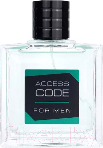 Изображение товара Туалетная вода Delta Parfum Access Code For Men (100мл)